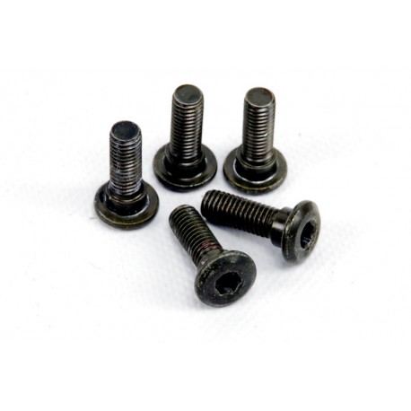 Schrauben Bremsscheibe Tweet